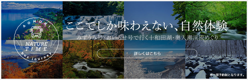 みずうみ号・おいらせ号で行く十和田湖・奥入瀬渓流めぐり