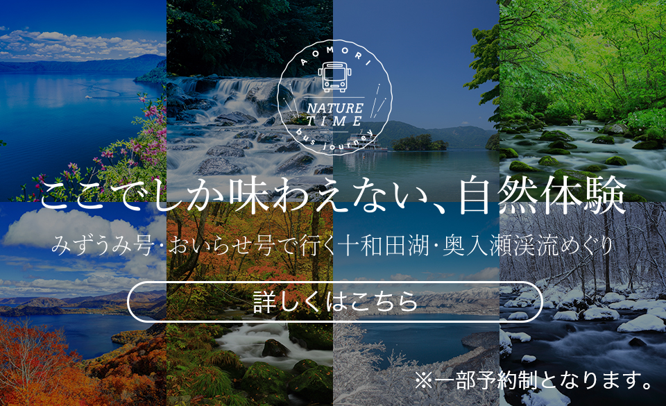 みずうみ号・おいらせ号で行く十和田湖・奥入瀬渓流めぐり